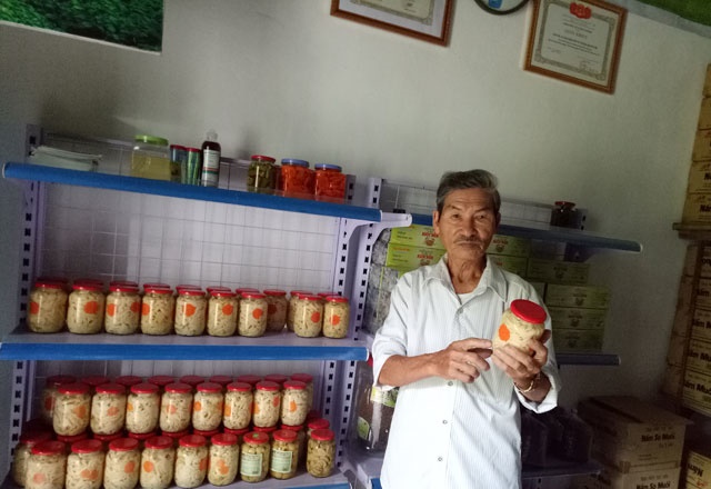 Hải Phòng: HTX là nhân tố thúc đẩy Nông thôn mới