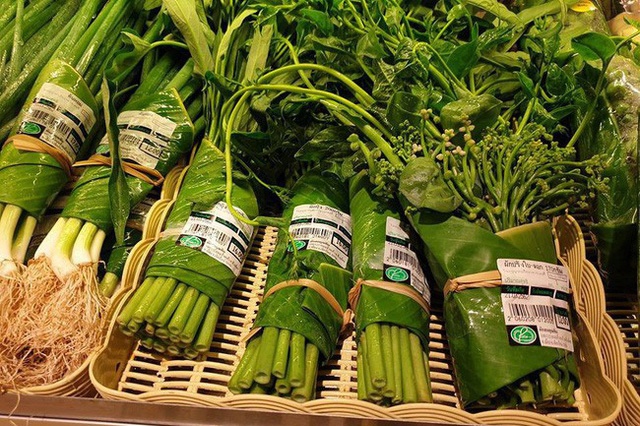 Kinh tế hợp tác chung tay chống rác thải nhựa