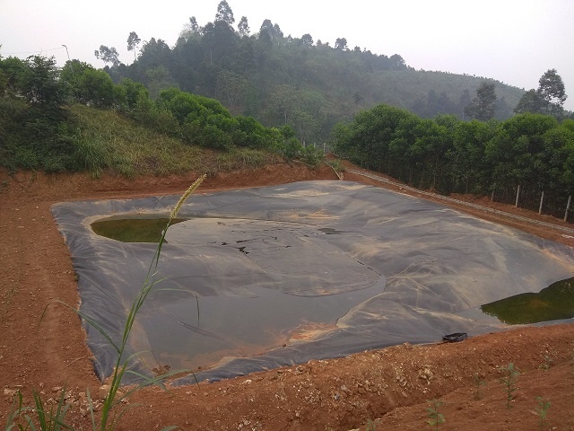 Hầm Biogas trong chăn nuôi  Cách tăng hiệu suất hầm Biogas