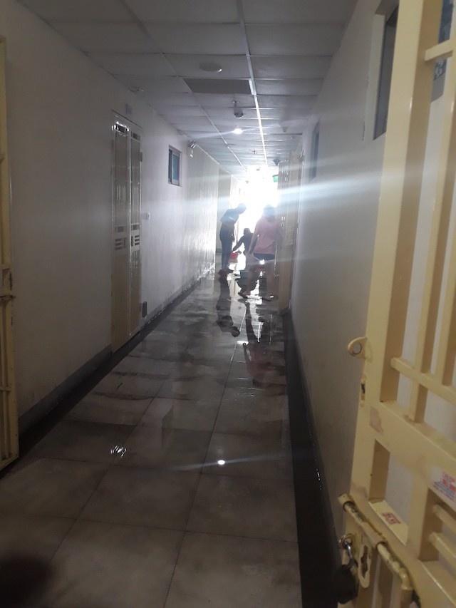 IMG-20191124-110052-2886-1574569326.jpg