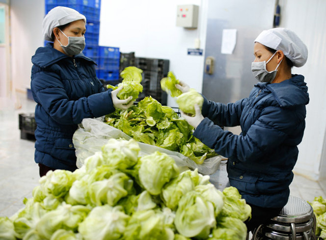 Ung-dung-cong-nghe-cao-trong-s-8233-6740