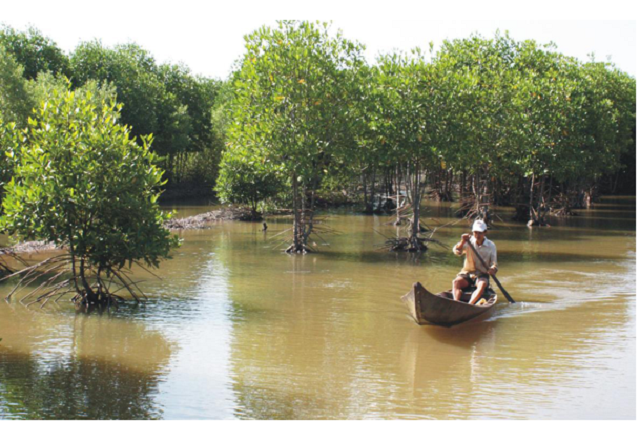 Nông dân Quảng Nam xây dựng mô hình du lịch sinh thái thu hút du khách