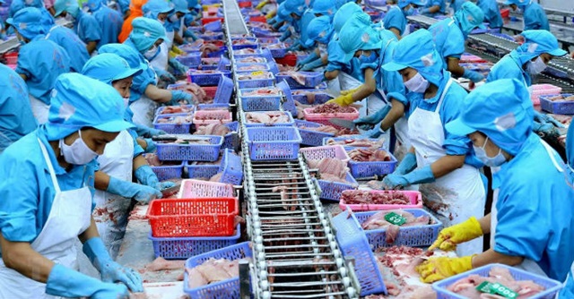 Cấp chứng thư mới cho các lô hàng thủy sản xuất khẩu sang EU