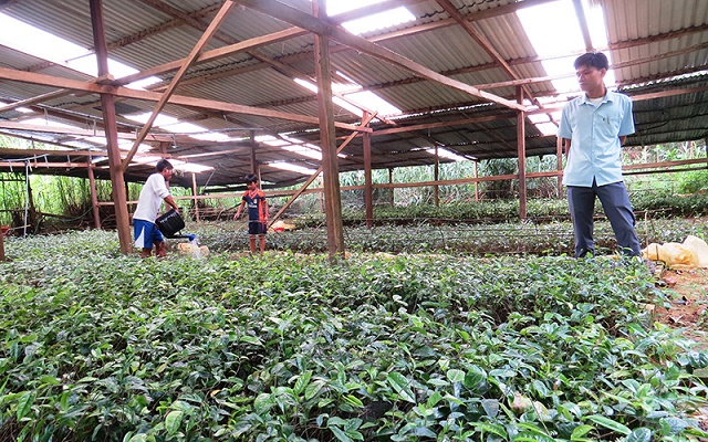 HTX giúp người dân giảm nghèo ở Tây Giang