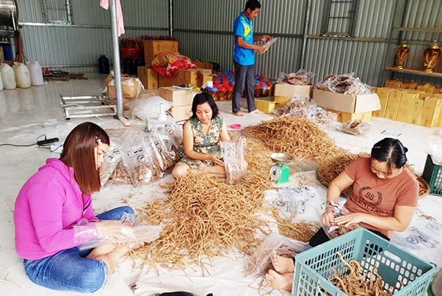 Giảm nghèo ở huyện vùng biên Tây Giang