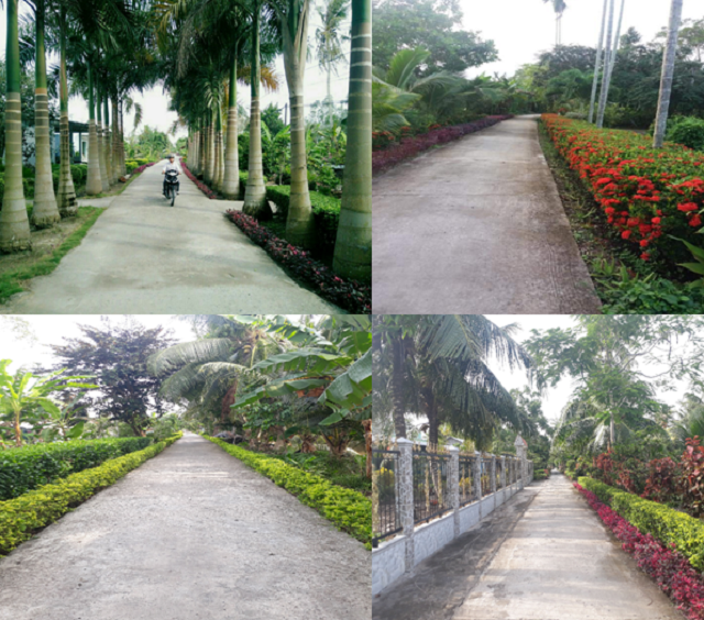 Long-Tri-A-hoan-thanh-NTM-nang-5850-4621