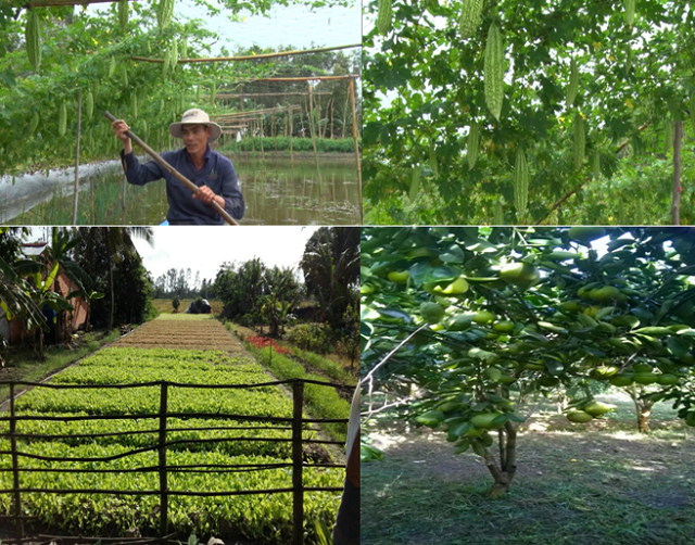 Long Trị A chạm đích nông thôn mới nâng cao