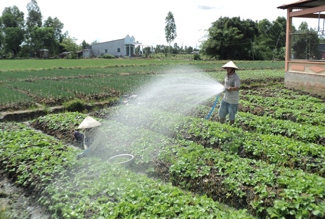 Hướng đến nông thôn mới nâng cao, kiểu mẫu