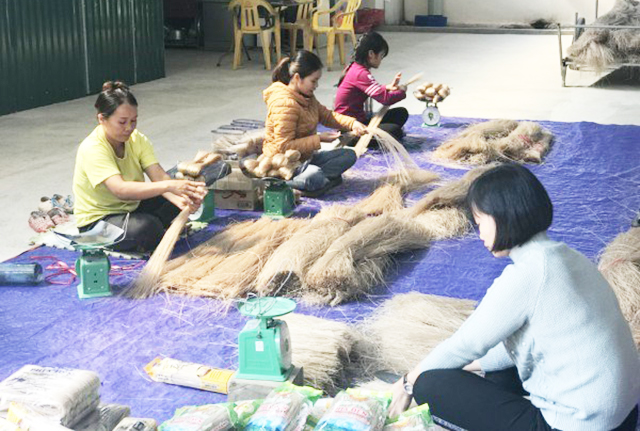 Sản xuất sạch, gặt thành công ở HTX Tân Việt Á