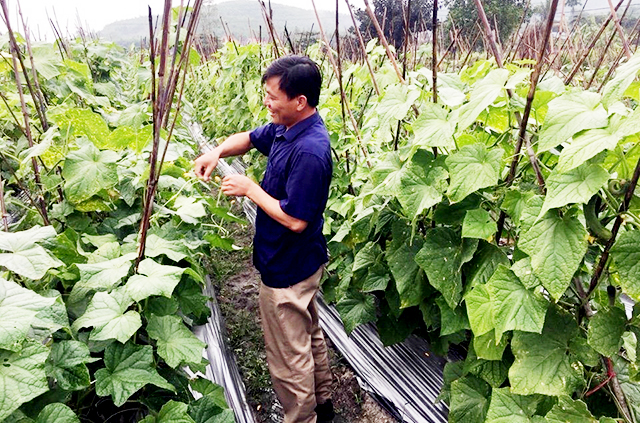 Uông Bí thêm động lực cho HTX phát triển