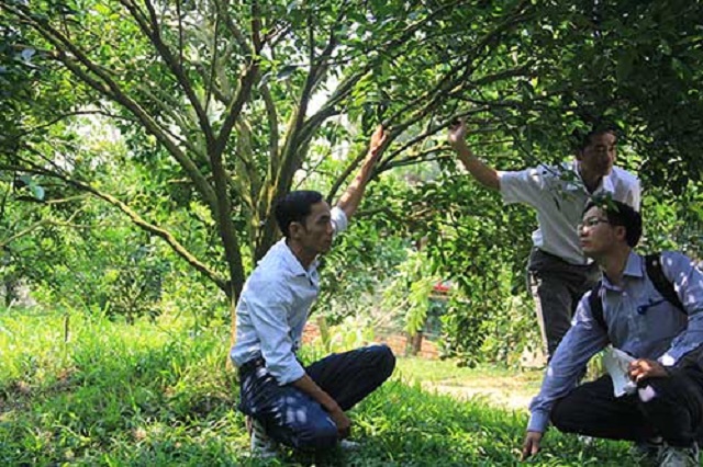 Đồng Nai thực hiện hiệu quả nhiều mô hình, dự án giảm nghèo