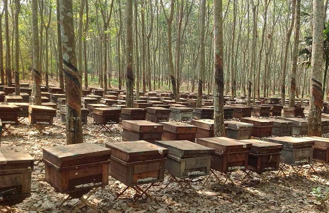 Khởi sắc nông thôn mới ở Na Rì