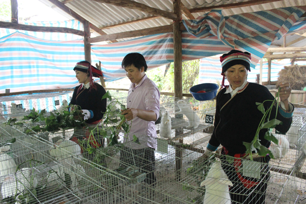 Bắc Mê chú trọng vai trò của HTX trong xoá đói giảm nghèo
