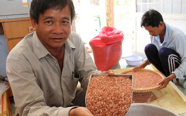 Đồng Tháp: Tích cực tái cơ cấu ngành nông nghiệp