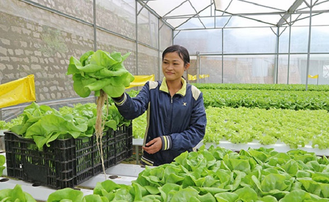 Núi Thành bảo đảm môi trường từ sản xuất sạch