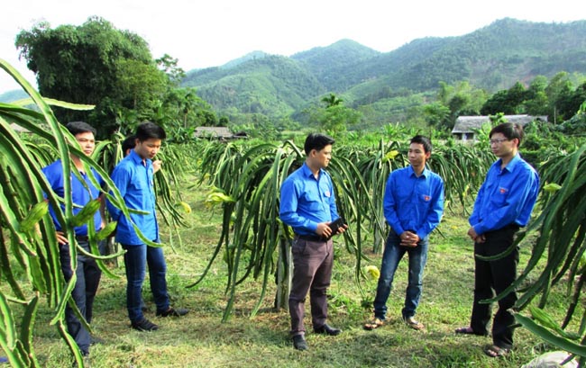 Hà Giang chú trọng phát triển HTX