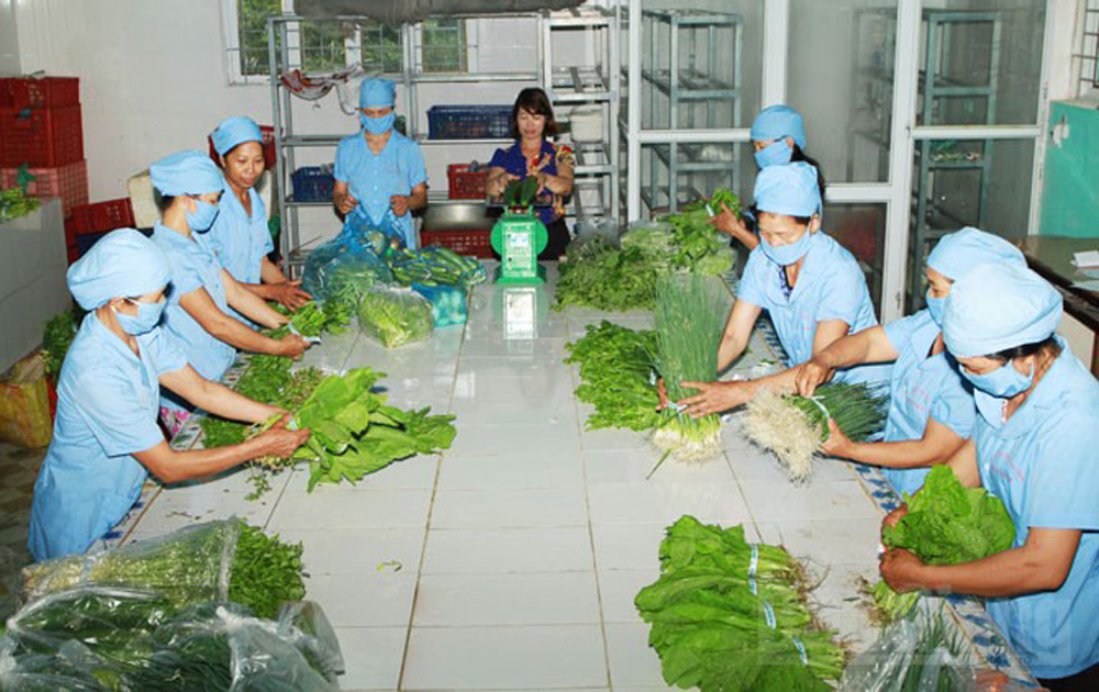 Bắc Giang đẩy mạnh truy xuất nguồn gốc hàng hóa trong các HTX