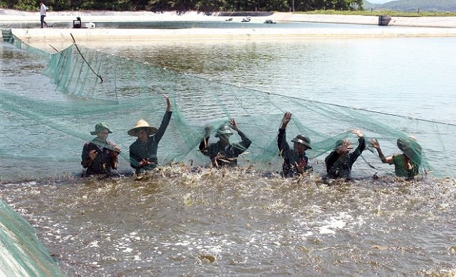 An Phúc, Bạc Liêu: Nâng cao sức khỏe, bảo đảm vệ sinh an toàn thực phẩm