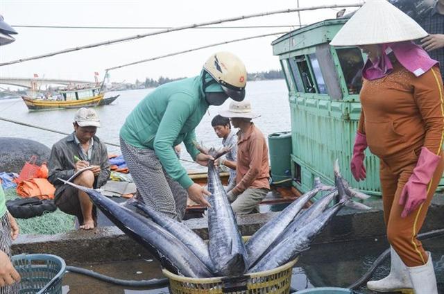 EC chưa gỡ 'thẻ vàng' cho thủy sản Việt Nam