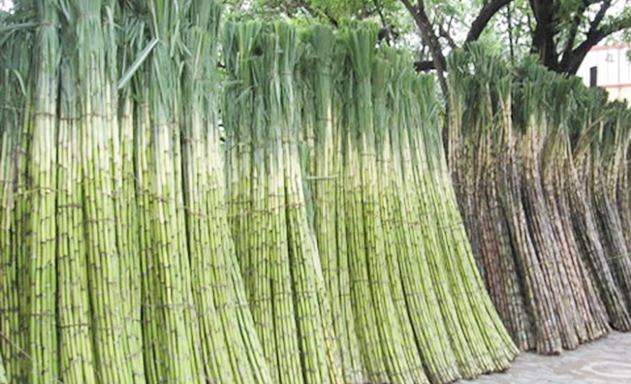 Cuộc sát hạch mang tên ATIGA?