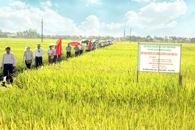 Thái Bình: giảm nghèo đi đôi với bảo đảm an toàn thực phẩm