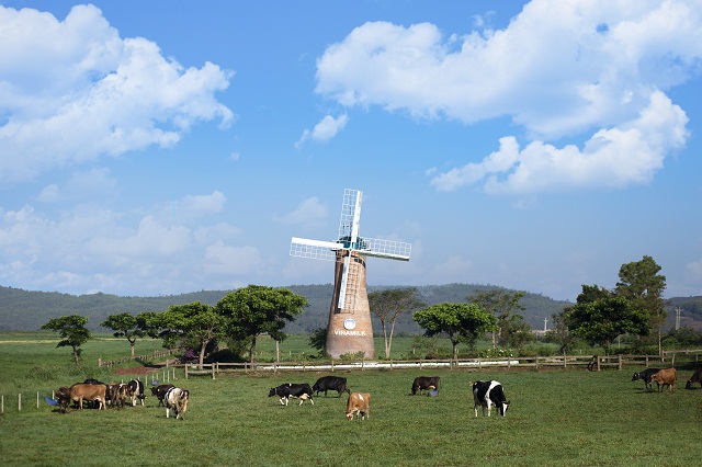 “Tấm vé thông hành” giúp sữa tươi Organic của Vinamilk đến với người tiêu dùng Singapore