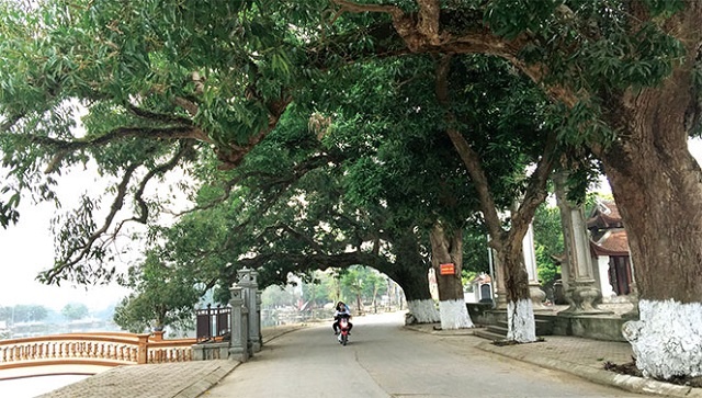 Phuc-Tho-dang-huong-den-muc-ti-2585-1447