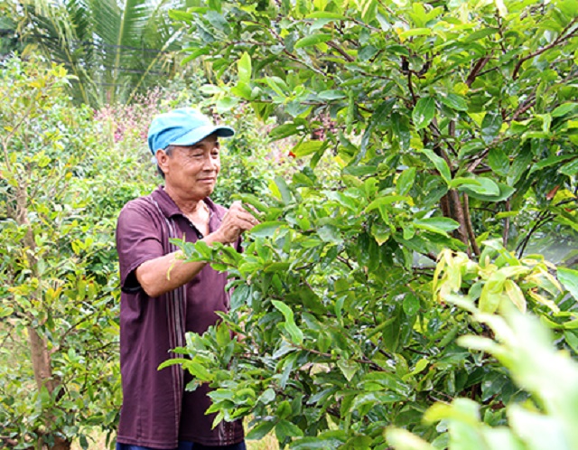 Chủ động sản xuất an toàn để bảo vệ môi trường