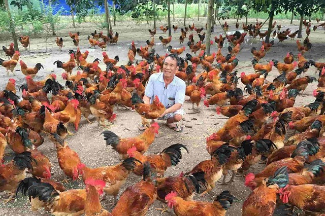 Huyện nghèo Tương Dương tích cực giảm nghèo