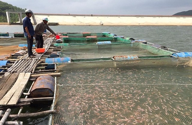Phát triển kinh tế, giảm nghèo tại Vĩnh Thạnh