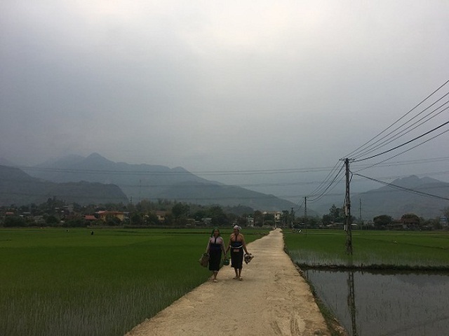 789bet hoangsa.net-Ha-BVMT-5417-1577245868.jpg