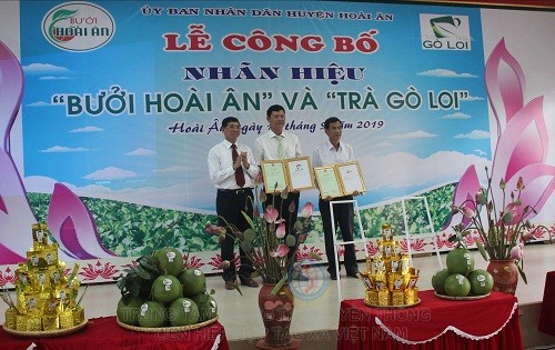 Hỗ trợ HTX xây dựng nhãn hiệu sản phẩm nông nghiệp