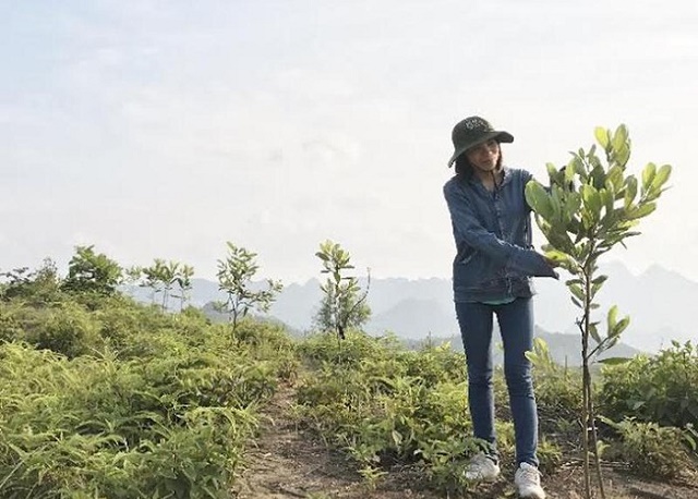 Huyện nghèo Thông Nông tích cực giảm nghèo