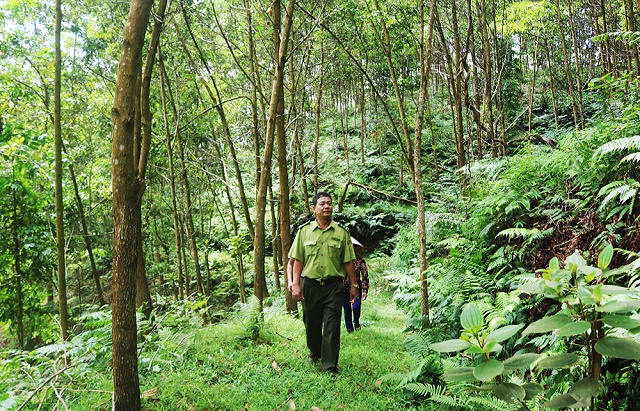Huyện Yên Minh, Hà Giang chú trọng bảo vệ môi trường