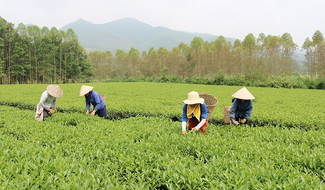 Đổi mới trong phát triển làng nghề