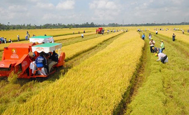 Bất động sản nông nghiệp còn dư địa rất lớn