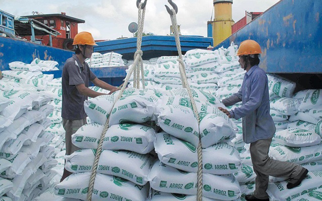 Xuất khẩu gạo năm 2019 sụt giảm 300 triệu USD