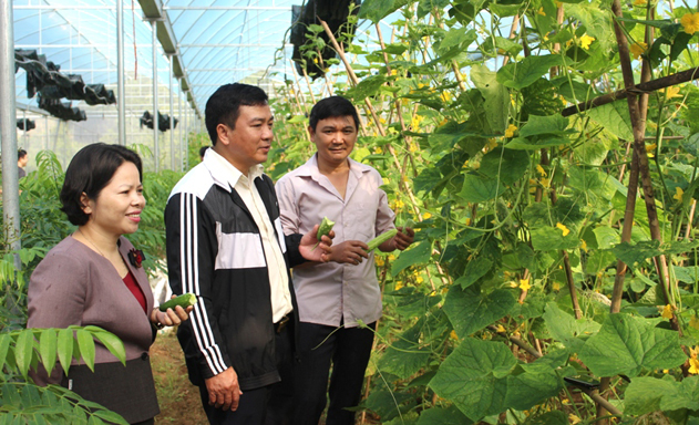 Sơn Động, Bắc Giang: Sản phẩm thế mạnh thúc đẩy NTM