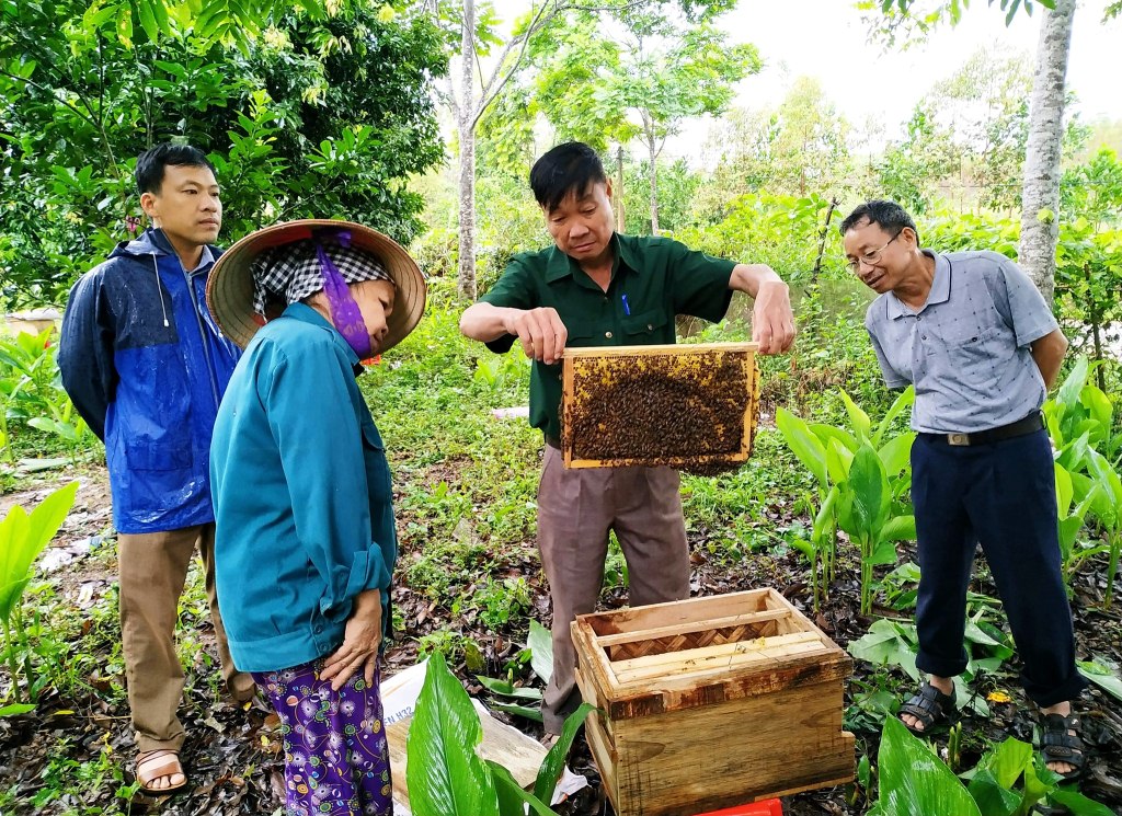 Sơn Động thoát nghèo từ dự án nuôi ong lấy mật