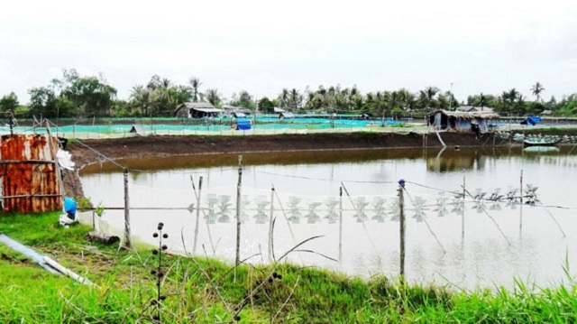 Tổ hợp tác thành công nhờ chăn nuôi sạch