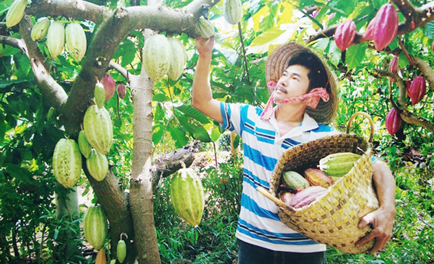 Nang-tam-nong-nghiep-bang-san-8526-2468-