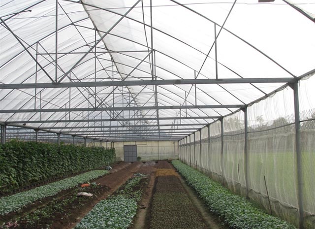 Thích ứng với biến đổi khí hậu nhờ nông nghiệp công nghệ cao