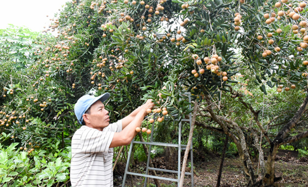San-xuat-sach-de-dua-nhan-xuat-3693-4707