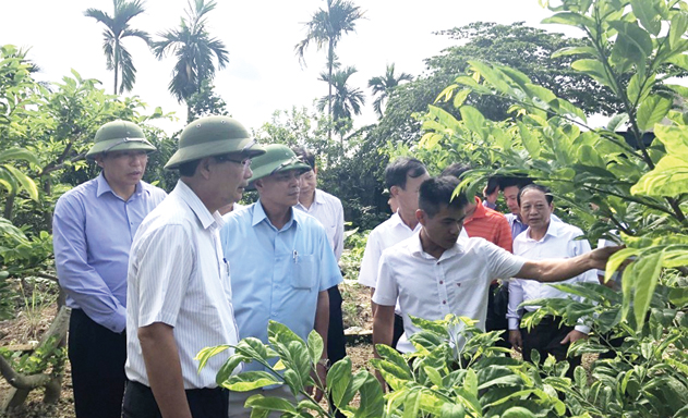 Giải pháp kết nối cung cầu cho HTX
