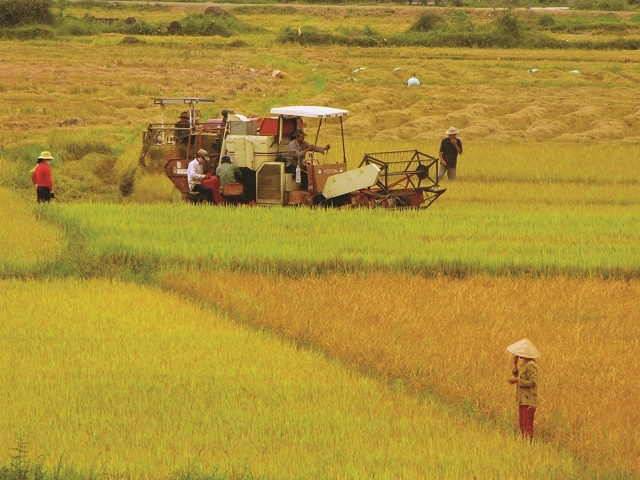 nong-nghiieepj-2339-1578479056.jpg