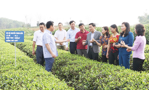 San-xuat-sach-che-Song-Cau-vuo-7694-2736