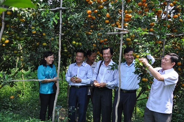anh-2769-1578569542.jpg
