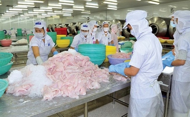 Cổ phiếu HVG tăng mạnh sau khi Hùng Vương “kết hôn” với Thaco