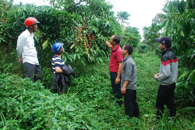 Phát triển nông nghiệp, nông thôn bền vững