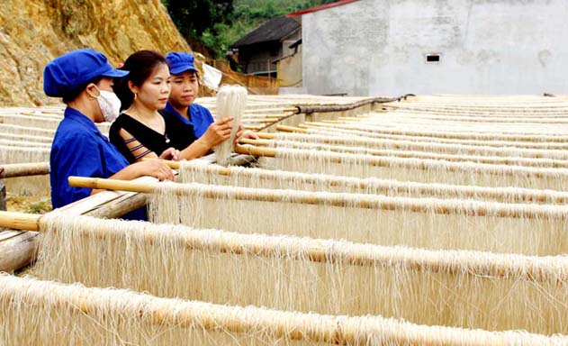Côn Minh (Bắc Kạn): Đẩy mạnh liên kết, xây dựng chuỗi sản xuất